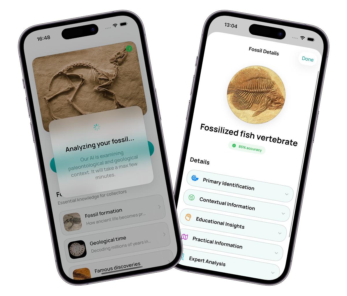 FossilPro app interface showing AI fossil identification in action - scan fossils instantly with photo recognition